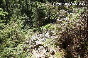 [P08] Cascada Moara Dracului / Cam aşa continuă poteca.  » foto by Utube
 - 
<span class="allrVoted glyphicon glyphicon-heart hidden" id="av372039"></span>
<a class="m-l-10 hidden" id="sv372039" onclick="voting_Foto_DelVot(,372039,7135)" role="button">șterge vot <span class="glyphicon glyphicon-remove"></span></a>
<a id="v9372039" class=" c-red"  onclick="voting_Foto_SetVot(372039)" role="button"><span class="glyphicon glyphicon-heart-empty"></span> <b>LIKE</b> = Votează poza</a> <img class="hidden"  id="f372039W9" src="/imagini/loader.gif" border="0" /><span class="AjErrMes hidden" id="e372039ErM"></span>