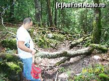 [P12] Poteca spre Focul viu » foto by Alina Morar
 - 
<span class="allrVoted glyphicon glyphicon-heart hidden" id="av109377"></span>
<a class="m-l-10 hidden" id="sv109377" onclick="voting_Foto_DelVot(,109377,7135)" role="button">șterge vot <span class="glyphicon glyphicon-remove"></span></a>
<a id="v9109377" class=" c-red"  onclick="voting_Foto_SetVot(109377)" role="button"><span class="glyphicon glyphicon-heart-empty"></span> <b>LIKE</b> = Votează poza</a> <img class="hidden"  id="f109377W9" src="/imagini/loader.gif" border="0" /><span class="AjErrMes hidden" id="e109377ErM"></span>