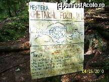 [P14]  -- <small>// FĂRĂ DESCRIERE</small> » foto by Alina Morar
 - 
<span class="allrVoted glyphicon glyphicon-heart hidden" id="av109383"></span>
<a class="m-l-10 hidden" id="sv109383" onclick="voting_Foto_DelVot(,109383,7135)" role="button">șterge vot <span class="glyphicon glyphicon-remove"></span></a>
<a id="v9109383" class=" c-red"  onclick="voting_Foto_SetVot(109383)" role="button"><span class="glyphicon glyphicon-heart-empty"></span> <b>LIKE</b> = Votează poza</a> <img class="hidden"  id="f109383W9" src="/imagini/loader.gif" border="0" /><span class="AjErrMes hidden" id="e109383ErM"></span>
