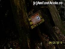 [P18]  -- <small>// FĂRĂ DESCRIERE</small> » foto by Alina Morar
 - 
<span class="allrVoted glyphicon glyphicon-heart hidden" id="av109398"></span>
<a class="m-l-10 hidden" id="sv109398" onclick="voting_Foto_DelVot(,109398,7135)" role="button">șterge vot <span class="glyphicon glyphicon-remove"></span></a>
<a id="v9109398" class=" c-red"  onclick="voting_Foto_SetVot(109398)" role="button"><span class="glyphicon glyphicon-heart-empty"></span> <b>LIKE</b> = Votează poza</a> <img class="hidden"  id="f109398W9" src="/imagini/loader.gif" border="0" /><span class="AjErrMes hidden" id="e109398ErM"></span>