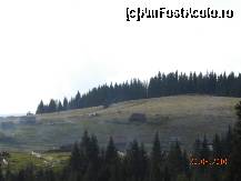 [P28] Case rasfirate in Catunul Smida » foto by Alina Morar
 - 
<span class="allrVoted glyphicon glyphicon-heart hidden" id="av154778"></span>
<a class="m-l-10 hidden" id="sv154778" onclick="voting_Foto_DelVot(,154778,7135)" role="button">șterge vot <span class="glyphicon glyphicon-remove"></span></a>
<a id="v9154778" class=" c-red"  onclick="voting_Foto_SetVot(154778)" role="button"><span class="glyphicon glyphicon-heart-empty"></span> <b>LIKE</b> = Votează poza</a> <img class="hidden"  id="f154778W9" src="/imagini/loader.gif" border="0" /><span class="AjErrMes hidden" id="e154778ErM"></span>