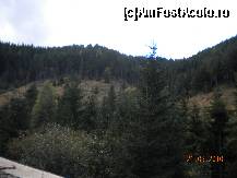 [P45]  -- <small>// FĂRĂ DESCRIERE</small> » foto by Alina Morar
 - 
<span class="allrVoted glyphicon glyphicon-heart hidden" id="av154806"></span>
<a class="m-l-10 hidden" id="sv154806" onclick="voting_Foto_DelVot(,154806,7135)" role="button">șterge vot <span class="glyphicon glyphicon-remove"></span></a>
<a id="v9154806" class=" c-red"  onclick="voting_Foto_SetVot(154806)" role="button"><span class="glyphicon glyphicon-heart-empty"></span> <b>LIKE</b> = Votează poza</a> <img class="hidden"  id="f154806W9" src="/imagini/loader.gif" border="0" /><span class="AjErrMes hidden" id="e154806ErM"></span>