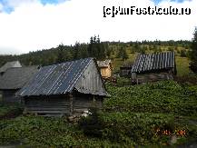 [P47] Casele intalnite pe drumul spre Catunul Dobrin » foto by Alina Morar
 - 
<span class="allrVoted glyphicon glyphicon-heart hidden" id="av154810"></span>
<a class="m-l-10 hidden" id="sv154810" onclick="voting_Foto_DelVot(,154810,7135)" role="button">șterge vot <span class="glyphicon glyphicon-remove"></span></a>
<a id="v9154810" class=" c-red"  onclick="voting_Foto_SetVot(154810)" role="button"><span class="glyphicon glyphicon-heart-empty"></span> <b>LIKE</b> = Votează poza</a> <img class="hidden"  id="f154810W9" src="/imagini/loader.gif" border="0" /><span class="AjErrMes hidden" id="e154810ErM"></span>