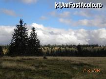 [P57] Natura virgina pe platoul de langa Dobrin » foto by Alina Morar
 - 
<span class="allrVoted glyphicon glyphicon-heart hidden" id="av154828"></span>
<a class="m-l-10 hidden" id="sv154828" onclick="voting_Foto_DelVot(,154828,7135)" role="button">șterge vot <span class="glyphicon glyphicon-remove"></span></a>
<a id="v9154828" class=" c-red"  onclick="voting_Foto_SetVot(154828)" role="button"><span class="glyphicon glyphicon-heart-empty"></span> <b>LIKE</b> = Votează poza</a> <img class="hidden"  id="f154828W9" src="/imagini/loader.gif" border="0" /><span class="AjErrMes hidden" id="e154828ErM"></span>