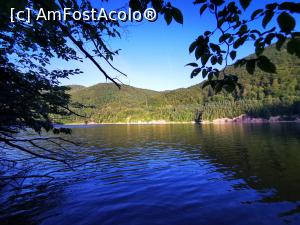 [P17] Lacul Tarnița » foto by cata2106
 - 
<span class="allrVoted glyphicon glyphicon-heart hidden" id="av1188319"></span>
<a class="m-l-10 hidden" id="sv1188319" onclick="voting_Foto_DelVot(,1188319,7135)" role="button">șterge vot <span class="glyphicon glyphicon-remove"></span></a>
<a id="v91188319" class=" c-red"  onclick="voting_Foto_SetVot(1188319)" role="button"><span class="glyphicon glyphicon-heart-empty"></span> <b>LIKE</b> = Votează poza</a> <img class="hidden"  id="f1188319W9" src="/imagini/loader.gif" border="0" /><span class="AjErrMes hidden" id="e1188319ErM"></span>