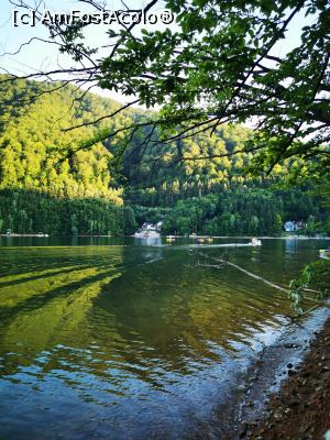 [P18] Lacul Tarnița » foto by cata2106
 - 
<span class="allrVoted glyphicon glyphicon-heart hidden" id="av1188320"></span>
<a class="m-l-10 hidden" id="sv1188320" onclick="voting_Foto_DelVot(,1188320,7135)" role="button">șterge vot <span class="glyphicon glyphicon-remove"></span></a>
<a id="v91188320" class=" c-red"  onclick="voting_Foto_SetVot(1188320)" role="button"><span class="glyphicon glyphicon-heart-empty"></span> <b>LIKE</b> = Votează poza</a> <img class="hidden"  id="f1188320W9" src="/imagini/loader.gif" border="0" /><span class="AjErrMes hidden" id="e1188320ErM"></span>