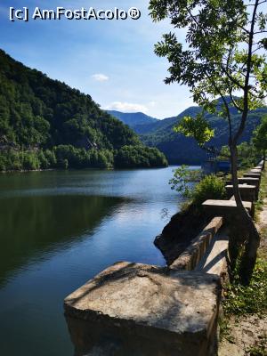 [P02] Lacul Tarnița » foto by cata2106
 - 
<span class="allrVoted glyphicon glyphicon-heart hidden" id="av1188304"></span>
<a class="m-l-10 hidden" id="sv1188304" onclick="voting_Foto_DelVot(,1188304,7135)" role="button">șterge vot <span class="glyphicon glyphicon-remove"></span></a>
<a id="v91188304" class=" c-red"  onclick="voting_Foto_SetVot(1188304)" role="button"><span class="glyphicon glyphicon-heart-empty"></span> <b>LIKE</b> = Votează poza</a> <img class="hidden"  id="f1188304W9" src="/imagini/loader.gif" border="0" /><span class="AjErrMes hidden" id="e1188304ErM"></span>