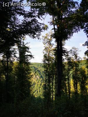 [P07] Prin pădure » foto by cata2106
 - 
<span class="allrVoted glyphicon glyphicon-heart hidden" id="av1188309"></span>
<a class="m-l-10 hidden" id="sv1188309" onclick="voting_Foto_DelVot(,1188309,7135)" role="button">șterge vot <span class="glyphicon glyphicon-remove"></span></a>
<a id="v91188309" class=" c-red"  onclick="voting_Foto_SetVot(1188309)" role="button"><span class="glyphicon glyphicon-heart-empty"></span> <b>LIKE</b> = Votează poza</a> <img class="hidden"  id="f1188309W9" src="/imagini/loader.gif" border="0" /><span class="AjErrMes hidden" id="e1188309ErM"></span>