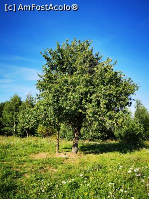 [P08] Poiana de la altitudinea maximă » foto by cata2106
 - 
<span class="allrVoted glyphicon glyphicon-heart hidden" id="av1188310"></span>
<a class="m-l-10 hidden" id="sv1188310" onclick="voting_Foto_DelVot(,1188310,7135)" role="button">șterge vot <span class="glyphicon glyphicon-remove"></span></a>
<a id="v91188310" class=" c-red"  onclick="voting_Foto_SetVot(1188310)" role="button"><span class="glyphicon glyphicon-heart-empty"></span> <b>LIKE</b> = Votează poza</a> <img class="hidden"  id="f1188310W9" src="/imagini/loader.gif" border="0" /><span class="AjErrMes hidden" id="e1188310ErM"></span>