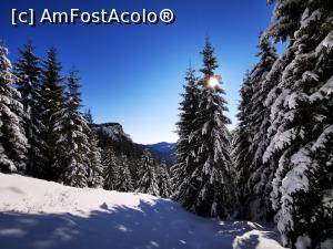 [P15] Zăpadă mare si nu găsim poteca » foto by cata2106
 - 
<span class="allrVoted glyphicon glyphicon-heart hidden" id="av1213941"></span>
<a class="m-l-10 hidden" id="sv1213941" onclick="voting_Foto_DelVot(,1213941,7135)" role="button">șterge vot <span class="glyphicon glyphicon-remove"></span></a>
<a id="v91213941" class=" c-red"  onclick="voting_Foto_SetVot(1213941)" role="button"><span class="glyphicon glyphicon-heart-empty"></span> <b>LIKE</b> = Votează poza</a> <img class="hidden"  id="f1213941W9" src="/imagini/loader.gif" border="0" /><span class="AjErrMes hidden" id="e1213941ErM"></span>