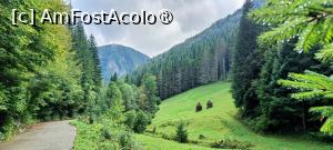 [P01] Pe Cheile Ordâncușei. » foto by tata123 🔱
 - 
<span class="allrVoted glyphicon glyphicon-heart hidden" id="av1500904"></span>
<a class="m-l-10 hidden" id="sv1500904" onclick="voting_Foto_DelVot(,1500904,7135)" role="button">șterge vot <span class="glyphicon glyphicon-remove"></span></a>
<a id="v91500904" class=" c-red"  onclick="voting_Foto_SetVot(1500904)" role="button"><span class="glyphicon glyphicon-heart-empty"></span> <b>LIKE</b> = Votează poza</a> <img class="hidden"  id="f1500904W9" src="/imagini/loader.gif" border="0" /><span class="AjErrMes hidden" id="e1500904ErM"></span>