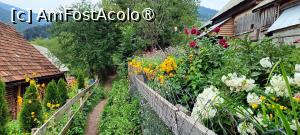 [P14] Potecă spre cascada Pătrăhăițești. » foto by tata123 🔱
 - 
<span class="allrVoted glyphicon glyphicon-heart hidden" id="av1500917"></span>
<a class="m-l-10 hidden" id="sv1500917" onclick="voting_Foto_DelVot(,1500917,7135)" role="button">șterge vot <span class="glyphicon glyphicon-remove"></span></a>
<a id="v91500917" class=" c-red"  onclick="voting_Foto_SetVot(1500917)" role="button"><span class="glyphicon glyphicon-heart-empty"></span> <b>LIKE</b> = Votează poza</a> <img class="hidden"  id="f1500917W9" src="/imagini/loader.gif" border="0" /><span class="AjErrMes hidden" id="e1500917ErM"></span>