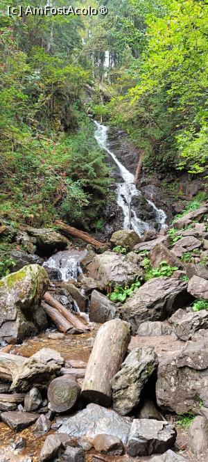 [P15] Cascada Pătrăhăițești în septembrie 2025 (debit scăzut). » foto by tata123 🔱
 - 
<span class="allrVoted glyphicon glyphicon-heart hidden" id="av1500918"></span>
<a class="m-l-10 hidden" id="sv1500918" onclick="voting_Foto_DelVot(,1500918,7135)" role="button">șterge vot <span class="glyphicon glyphicon-remove"></span></a>
<a id="v91500918" class=" c-red"  onclick="voting_Foto_SetVot(1500918)" role="button"><span class="glyphicon glyphicon-heart-empty"></span> <b>LIKE</b> = Votează poza</a> <img class="hidden"  id="f1500918W9" src="/imagini/loader.gif" border="0" /><span class="AjErrMes hidden" id="e1500918ErM"></span>