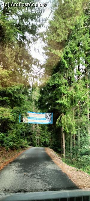 [P16] Drumul nou asfaltat spre satul Pătrăhăițești. » foto by tata123 🔱
 - 
<span class="allrVoted glyphicon glyphicon-heart hidden" id="av1500919"></span>
<a class="m-l-10 hidden" id="sv1500919" onclick="voting_Foto_DelVot(,1500919,7135)" role="button">șterge vot <span class="glyphicon glyphicon-remove"></span></a>
<a id="v91500919" class=" c-red"  onclick="voting_Foto_SetVot(1500919)" role="button"><span class="glyphicon glyphicon-heart-empty"></span> <b>LIKE</b> = Votează poza</a> <img class="hidden"  id="f1500919W9" src="/imagini/loader.gif" border="0" /><span class="AjErrMes hidden" id="e1500919ErM"></span>