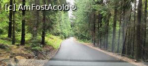 [P17] Drumul nou asfaltat spre satul Pătrăhăițești. » foto by tata123 🔱
 - 
<span class="allrVoted glyphicon glyphicon-heart hidden" id="av1500920"></span>
<a class="m-l-10 hidden" id="sv1500920" onclick="voting_Foto_DelVot(,1500920,7135)" role="button">șterge vot <span class="glyphicon glyphicon-remove"></span></a>
<a id="v91500920" class=" c-red"  onclick="voting_Foto_SetVot(1500920)" role="button"><span class="glyphicon glyphicon-heart-empty"></span> <b>LIKE</b> = Votează poza</a> <img class="hidden"  id="f1500920W9" src="/imagini/loader.gif" border="0" /><span class="AjErrMes hidden" id="e1500920ErM"></span>