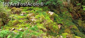 [P19] Izbucul Cotețul Dobreștilor era secat! » foto by tata123 🔱
 - 
<span class="allrVoted glyphicon glyphicon-heart hidden" id="av1500922"></span>
<a class="m-l-10 hidden" id="sv1500922" onclick="voting_Foto_DelVot(,1500922,7135)" role="button">șterge vot <span class="glyphicon glyphicon-remove"></span></a>
<a id="v91500922" class=" c-red"  onclick="voting_Foto_SetVot(1500922)" role="button"><span class="glyphicon glyphicon-heart-empty"></span> <b>LIKE</b> = Votează poza</a> <img class="hidden"  id="f1500922W9" src="/imagini/loader.gif" border="0" /><span class="AjErrMes hidden" id="e1500922ErM"></span>