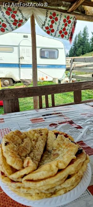 [P05] La plăcinte înainte... » foto by tata123 🔱
 - 
<span class="allrVoted glyphicon glyphicon-heart hidden" id="av1500908"></span>
<a class="m-l-10 hidden" id="sv1500908" onclick="voting_Foto_DelVot(,1500908,7135)" role="button">șterge vot <span class="glyphicon glyphicon-remove"></span></a>
<a id="v91500908" class=" c-red"  onclick="voting_Foto_SetVot(1500908)" role="button"><span class="glyphicon glyphicon-heart-empty"></span> <b>LIKE</b> = Votează poza</a> <img class="hidden"  id="f1500908W9" src="/imagini/loader.gif" border="0" /><span class="AjErrMes hidden" id="e1500908ErM"></span>