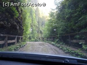 [P10] Podețele: locurile cele mai înguste de pe șoseaua care străbate Cheile Ordâncușei.  » foto by tata123 🔱
 - 
<span class="allrVoted glyphicon glyphicon-heart hidden" id="av1154242"></span>
<a class="m-l-10 hidden" id="sv1154242" onclick="voting_Foto_DelVot(,1154242,7135)" role="button">șterge vot <span class="glyphicon glyphicon-remove"></span></a>
<a id="v91154242" class=" c-red"  onclick="voting_Foto_SetVot(1154242)" role="button"><span class="glyphicon glyphicon-heart-empty"></span> <b>LIKE</b> = Votează poza</a> <img class="hidden"  id="f1154242W9" src="/imagini/loader.gif" border="0" /><span class="AjErrMes hidden" id="e1154242ErM"></span>