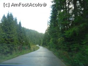 [P14] Perdele de pădure însoțesc pe o distanță destul de mare șoseaua DJ750.  » foto by tata123 🔱
 - 
<span class="allrVoted glyphicon glyphicon-heart hidden" id="av1154246"></span>
<a class="m-l-10 hidden" id="sv1154246" onclick="voting_Foto_DelVot(,1154246,7135)" role="button">șterge vot <span class="glyphicon glyphicon-remove"></span></a>
<a id="v91154246" class=" c-red"  onclick="voting_Foto_SetVot(1154246)" role="button"><span class="glyphicon glyphicon-heart-empty"></span> <b>LIKE</b> = Votează poza</a> <img class="hidden"  id="f1154246W9" src="/imagini/loader.gif" border="0" /><span class="AjErrMes hidden" id="e1154246ErM"></span>