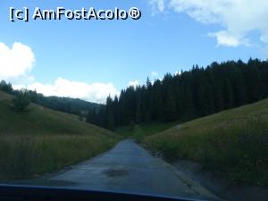 [P16] Platoul Scărișoara-Ocoale - poieni și pajiști.  » foto by tata123 🔱
 - 
<span class="allrVoted glyphicon glyphicon-heart hidden" id="av1154248"></span>
<a class="m-l-10 hidden" id="sv1154248" onclick="voting_Foto_DelVot(,1154248,7135)" role="button">șterge vot <span class="glyphicon glyphicon-remove"></span></a>
<a id="v91154248" class=" c-red"  onclick="voting_Foto_SetVot(1154248)" role="button"><span class="glyphicon glyphicon-heart-empty"></span> <b>LIKE</b> = Votează poza</a> <img class="hidden"  id="f1154248W9" src="/imagini/loader.gif" border="0" /><span class="AjErrMes hidden" id="e1154248ErM"></span>