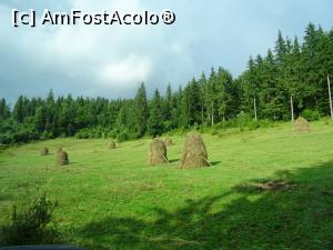 [P19] Fânețe în Apuseni.  » foto by tata123 🔱
 - 
<span class="allrVoted glyphicon glyphicon-heart hidden" id="av1154251"></span>
<a class="m-l-10 hidden" id="sv1154251" onclick="voting_Foto_DelVot(,1154251,7135)" role="button">șterge vot <span class="glyphicon glyphicon-remove"></span></a>
<a id="v91154251" class=" c-red"  onclick="voting_Foto_SetVot(1154251)" role="button"><span class="glyphicon glyphicon-heart-empty"></span> <b>LIKE</b> = Votează poza</a> <img class="hidden"  id="f1154251W9" src="/imagini/loader.gif" border="0" /><span class="AjErrMes hidden" id="e1154251ErM"></span>
