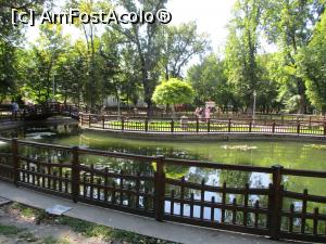 [P29] Lacul din parc, cu nuferi și pești » foto by puiutea
 - 
<span class="allrVoted glyphicon glyphicon-heart hidden" id="av1258598"></span>
<a class="m-l-10 hidden" id="sv1258598" onclick="voting_Foto_DelVot(,1258598,7139)" role="button">șterge vot <span class="glyphicon glyphicon-remove"></span></a>
<a id="v91258598" class=" c-red"  onclick="voting_Foto_SetVot(1258598)" role="button"><span class="glyphicon glyphicon-heart-empty"></span> <b>LIKE</b> = Votează poza</a> <img class="hidden"  id="f1258598W9" src="/imagini/loader.gif" border="0" /><span class="AjErrMes hidden" id="e1258598ErM"></span>