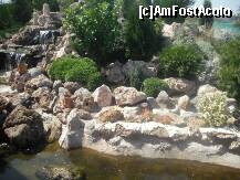 [P11] In varful muntelui » foto by gianimary
 - 
<span class="allrVoted glyphicon glyphicon-heart hidden" id="av255904"></span>
<a class="m-l-10 hidden" id="sv255904" onclick="voting_Foto_DelVot(,255904,7149)" role="button">șterge vot <span class="glyphicon glyphicon-remove"></span></a>
<a id="v9255904" class=" c-red"  onclick="voting_Foto_SetVot(255904)" role="button"><span class="glyphicon glyphicon-heart-empty"></span> <b>LIKE</b> = Votează poza</a> <img class="hidden"  id="f255904W9" src="/imagini/loader.gif" border="0" /><span class="AjErrMes hidden" id="e255904ErM"></span>