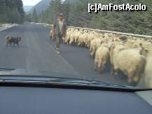 [P07] Oile , am aflat ca de fapt acesta era traseul ciobanilor. » foto by gianimary
 - 
<span class="allrVoted glyphicon glyphicon-heart hidden" id="av255900"></span>
<a class="m-l-10 hidden" id="sv255900" onclick="voting_Foto_DelVot(,255900,7149)" role="button">șterge vot <span class="glyphicon glyphicon-remove"></span></a>
<a id="v9255900" class=" c-red"  onclick="voting_Foto_SetVot(255900)" role="button"><span class="glyphicon glyphicon-heart-empty"></span> <b>LIKE</b> = Votează poza</a> <img class="hidden"  id="f255900W9" src="/imagini/loader.gif" border="0" /><span class="AjErrMes hidden" id="e255900ErM"></span>