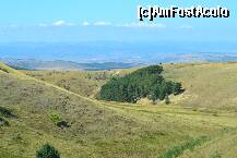 [P11]  -- <small>// FĂRĂ DESCRIERE</small> » foto by TEOANCA
 - 
<span class="allrVoted glyphicon glyphicon-heart hidden" id="av262150"></span>
<a class="m-l-10 hidden" id="sv262150" onclick="voting_Foto_DelVot(,262150,7149)" role="button">șterge vot <span class="glyphicon glyphicon-remove"></span></a>
<a id="v9262150" class=" c-red"  onclick="voting_Foto_SetVot(262150)" role="button"><span class="glyphicon glyphicon-heart-empty"></span> <b>LIKE</b> = Votează poza</a> <img class="hidden"  id="f262150W9" src="/imagini/loader.gif" border="0" /><span class="AjErrMes hidden" id="e262150ErM"></span>