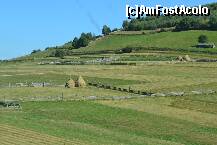 [P04]  -- <small>// FĂRĂ DESCRIERE</small> » foto by TEOANCA
 - 
<span class="allrVoted glyphicon glyphicon-heart hidden" id="av262141"></span>
<a class="m-l-10 hidden" id="sv262141" onclick="voting_Foto_DelVot(,262141,7149)" role="button">șterge vot <span class="glyphicon glyphicon-remove"></span></a>
<a id="v9262141" class=" c-red"  onclick="voting_Foto_SetVot(262141)" role="button"><span class="glyphicon glyphicon-heart-empty"></span> <b>LIKE</b> = Votează poza</a> <img class="hidden"  id="f262141W9" src="/imagini/loader.gif" border="0" /><span class="AjErrMes hidden" id="e262141ErM"></span>