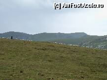 [P14] Turmele de mioare in muntii Parang » foto by Lumis66
 - 
<span class="allrVoted glyphicon glyphicon-heart hidden" id="av252577"></span>
<a class="m-l-10 hidden" id="sv252577" onclick="voting_Foto_DelVot(,252577,7149)" role="button">șterge vot <span class="glyphicon glyphicon-remove"></span></a>
<a id="v9252577" class=" c-red"  onclick="voting_Foto_SetVot(252577)" role="button"><span class="glyphicon glyphicon-heart-empty"></span> <b>LIKE</b> = Votează poza</a> <img class="hidden"  id="f252577W9" src="/imagini/loader.gif" border="0" /><span class="AjErrMes hidden" id="e252577ErM"></span>