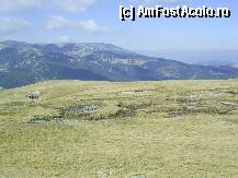 [P23] Crestele Parangului si platoul cu ochiuri de apa. » foto by iulianic
 - 
<span class="allrVoted glyphicon glyphicon-heart hidden" id="av252697"></span>
<a class="m-l-10 hidden" id="sv252697" onclick="voting_Foto_DelVot(,252697,7149)" role="button">șterge vot <span class="glyphicon glyphicon-remove"></span></a>
<a id="v9252697" class=" c-red"  onclick="voting_Foto_SetVot(252697)" role="button"><span class="glyphicon glyphicon-heart-empty"></span> <b>LIKE</b> = Votează poza</a> <img class="hidden"  id="f252697W9" src="/imagini/loader.gif" border="0" /><span class="AjErrMes hidden" id="e252697ErM"></span>