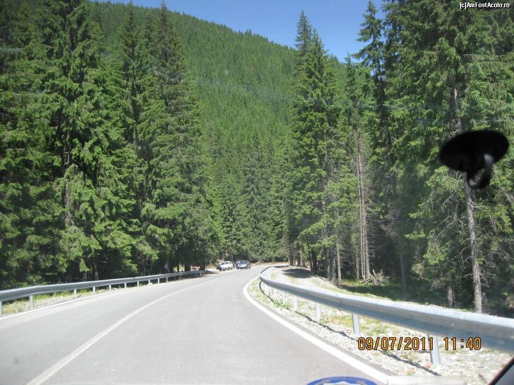 [P10] Spre inima padurii » foto by BEBEPETRESCU
 - 
<span class="allrVoted glyphicon glyphicon-heart hidden" id="av245315"></span>
<a class="m-l-10 hidden" id="sv245315" onclick="voting_Foto_DelVot(,245315,7149)" role="button">șterge vot <span class="glyphicon glyphicon-remove"></span></a>
<a id="v9245315" class=" c-red"  onclick="voting_Foto_SetVot(245315)" role="button"><span class="glyphicon glyphicon-heart-empty"></span> <b>LIKE</b> = Votează poza</a> <img class="hidden"  id="f245315W9" src="/imagini/loader.gif" border="0" /><span class="AjErrMes hidden" id="e245315ErM"></span>