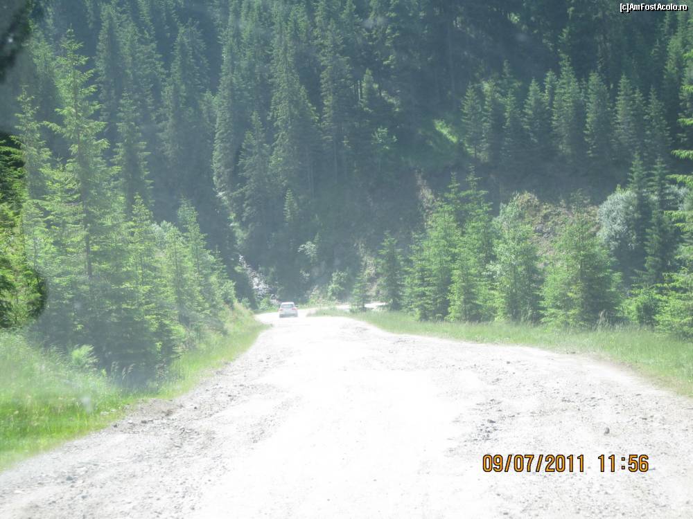 [P16] Drumul 'bombardat' spre Petrosani » foto by BEBEPETRESCU
 - 
<span class="allrVoted glyphicon glyphicon-heart hidden" id="av245321"></span>
<a class="m-l-10 hidden" id="sv245321" onclick="voting_Foto_DelVot(,245321,7149)" role="button">șterge vot <span class="glyphicon glyphicon-remove"></span></a>
<a id="v9245321" class=" c-red"  onclick="voting_Foto_SetVot(245321)" role="button"><span class="glyphicon glyphicon-heart-empty"></span> <b>LIKE</b> = Votează poza</a> <img class="hidden"  id="f245321W9" src="/imagini/loader.gif" border="0" /><span class="AjErrMes hidden" id="e245321ErM"></span>