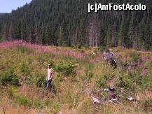 [P27] Transalpina - după zmeură. » foto by Dragoș_MD
 - 
<span class="allrVoted glyphicon glyphicon-heart hidden" id="av246477"></span>
<a class="m-l-10 hidden" id="sv246477" onclick="voting_Foto_DelVot(,246477,7149)" role="button">șterge vot <span class="glyphicon glyphicon-remove"></span></a>
<a id="v9246477" class=" c-red"  onclick="voting_Foto_SetVot(246477)" role="button"><span class="glyphicon glyphicon-heart-empty"></span> <b>LIKE</b> = Votează poza</a> <img class="hidden"  id="f246477W9" src="/imagini/loader.gif" border="0" /><span class="AjErrMes hidden" id="e246477ErM"></span>