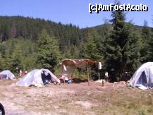 [P28] Transalpina - lângă Obârşia Lotrului, 'corturile' culegătorilor de fructe de pădure. » foto by Dragoș_MD
 - 
<span class="allrVoted glyphicon glyphicon-heart hidden" id="av246478"></span>
<a class="m-l-10 hidden" id="sv246478" onclick="voting_Foto_DelVot(,246478,7149)" role="button">șterge vot <span class="glyphicon glyphicon-remove"></span></a>
<a id="v9246478" class=" c-red"  onclick="voting_Foto_SetVot(246478)" role="button"><span class="glyphicon glyphicon-heart-empty"></span> <b>LIKE</b> = Votează poza</a> <img class="hidden"  id="f246478W9" src="/imagini/loader.gif" border="0" /><span class="AjErrMes hidden" id="e246478ErM"></span>