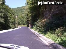 [P34] Transalpina - coborând spre Şugag. » foto by Dragoș_MD
 - 
<span class="allrVoted glyphicon glyphicon-heart hidden" id="av246484"></span>
<a class="m-l-10 hidden" id="sv246484" onclick="voting_Foto_DelVot(,246484,7149)" role="button">șterge vot <span class="glyphicon glyphicon-remove"></span></a>
<a id="v9246484" class=" c-red"  onclick="voting_Foto_SetVot(246484)" role="button"><span class="glyphicon glyphicon-heart-empty"></span> <b>LIKE</b> = Votează poza</a> <img class="hidden"  id="f246484W9" src="/imagini/loader.gif" border="0" /><span class="AjErrMes hidden" id="e246484ErM"></span>