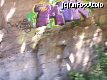 [P36] Transalpina - nici aici nu scăpăm de grefitti... » foto by Dragoș_MD
 - 
<span class="allrVoted glyphicon glyphicon-heart hidden" id="av246486"></span>
<a class="m-l-10 hidden" id="sv246486" onclick="voting_Foto_DelVot(,246486,7149)" role="button">șterge vot <span class="glyphicon glyphicon-remove"></span></a>
<a id="v9246486" class=" c-red"  onclick="voting_Foto_SetVot(246486)" role="button"><span class="glyphicon glyphicon-heart-empty"></span> <b>LIKE</b> = Votează poza</a> <img class="hidden"  id="f246486W9" src="/imagini/loader.gif" border="0" /><span class="AjErrMes hidden" id="e246486ErM"></span>