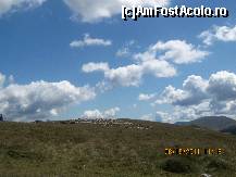 [P68] Oile Transalpinei » foto by paulsnaider
 - 
<span class="allrVoted glyphicon glyphicon-heart hidden" id="av358335"></span>
<a class="m-l-10 hidden" id="sv358335" onclick="voting_Foto_DelVot(,358335,7149)" role="button">șterge vot <span class="glyphicon glyphicon-remove"></span></a>
<a id="v9358335" class=" c-red"  onclick="voting_Foto_SetVot(358335)" role="button"><span class="glyphicon glyphicon-heart-empty"></span> <b>LIKE</b> = Votează poza</a> <img class="hidden"  id="f358335W9" src="/imagini/loader.gif" border="0" /><span class="AjErrMes hidden" id="e358335ErM"></span>