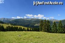 [P11]  -- <small>// FĂRĂ DESCRIERE</small> » foto by unq
 - 
<span class="allrVoted glyphicon glyphicon-heart hidden" id="av447684"></span>
<a class="m-l-10 hidden" id="sv447684" onclick="voting_Foto_DelVot(,447684,7149)" role="button">șterge vot <span class="glyphicon glyphicon-remove"></span></a>
<a id="v9447684" class=" c-red"  onclick="voting_Foto_SetVot(447684)" role="button"><span class="glyphicon glyphicon-heart-empty"></span> <b>LIKE</b> = Votează poza</a> <img class="hidden"  id="f447684W9" src="/imagini/loader.gif" border="0" /><span class="AjErrMes hidden" id="e447684ErM"></span>