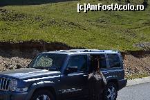 [P14] Transalpina, din ciclul ce mai întâlnim pe drumurile patriei.  » foto by unq
 - 
<span class="allrVoted glyphicon glyphicon-heart hidden" id="av447843"></span>
<a class="m-l-10 hidden" id="sv447843" onclick="voting_Foto_DelVot(,447843,7149)" role="button">șterge vot <span class="glyphicon glyphicon-remove"></span></a>
<a id="v9447843" class=" c-red"  onclick="voting_Foto_SetVot(447843)" role="button"><span class="glyphicon glyphicon-heart-empty"></span> <b>LIKE</b> = Votează poza</a> <img class="hidden"  id="f447843W9" src="/imagini/loader.gif" border="0" /><span class="AjErrMes hidden" id="e447843ErM"></span>