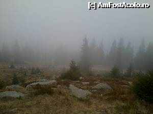 [P02] ceaţa accentuează liniştea ce te-nconjoară.  » foto by dinţosul
 - 
<span class="allrVoted glyphicon glyphicon-heart hidden" id="av368274"></span>
<a class="m-l-10 hidden" id="sv368274" onclick="voting_Foto_DelVot(,368274,7149)" role="button">șterge vot <span class="glyphicon glyphicon-remove"></span></a>
<a id="v9368274" class=" c-red"  onclick="voting_Foto_SetVot(368274)" role="button"><span class="glyphicon glyphicon-heart-empty"></span> <b>LIKE</b> = Votează poza</a> <img class="hidden"  id="f368274W9" src="/imagini/loader.gif" border="0" /><span class="AjErrMes hidden" id="e368274ErM"></span>