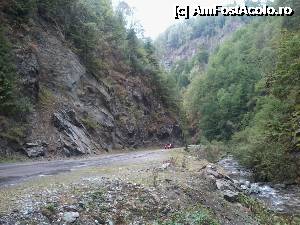 [P04] în sfârşit, am răzbătut...  » foto by dinţosul
 - 
<span class="allrVoted glyphicon glyphicon-heart hidden" id="av368276"></span>
<a class="m-l-10 hidden" id="sv368276" onclick="voting_Foto_DelVot(,368276,7149)" role="button">șterge vot <span class="glyphicon glyphicon-remove"></span></a>
<a id="v9368276" class=" c-red"  onclick="voting_Foto_SetVot(368276)" role="button"><span class="glyphicon glyphicon-heart-empty"></span> <b>LIKE</b> = Votează poza</a> <img class="hidden"  id="f368276W9" src="/imagini/loader.gif" border="0" /><span class="AjErrMes hidden" id="e368276ErM"></span>