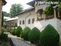 [P18] Interiorul curtii cu pomi tunsi artistic » foto by BOGDAN DSN
 - 
<span class="allrVoted glyphicon glyphicon-heart hidden" id="av206336"></span>
<a class="m-l-10 hidden" id="sv206336" onclick="voting_Foto_DelVot(,206336,7149)" role="button">șterge vot <span class="glyphicon glyphicon-remove"></span></a>
<a id="v9206336" class=" c-red"  onclick="voting_Foto_SetVot(206336)" role="button"><span class="glyphicon glyphicon-heart-empty"></span> <b>LIKE</b> = Votează poza</a> <img class="hidden"  id="f206336W9" src="/imagini/loader.gif" border="0" /><span class="AjErrMes hidden" id="e206336ErM"></span>