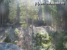 [P05] Vai, trebuie sa opresc! Oare unde si oare de ce?  » foto by PPP974273
 - 
<span class="allrVoted glyphicon glyphicon-heart hidden" id="av360352"></span>
<a class="m-l-10 hidden" id="sv360352" onclick="voting_Foto_DelVot(,360352,7149)" role="button">șterge vot <span class="glyphicon glyphicon-remove"></span></a>
<a id="v9360352" class=" c-red"  onclick="voting_Foto_SetVot(360352)" role="button"><span class="glyphicon glyphicon-heart-empty"></span> <b>LIKE</b> = Votează poza</a> <img class="hidden"  id="f360352W9" src="/imagini/loader.gif" border="0" /><span class="AjErrMes hidden" id="e360352ErM"></span>