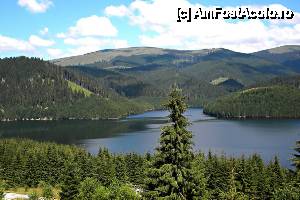 [P03] lacul Vidra » foto by andr2eea
 - 
<span class="allrVoted glyphicon glyphicon-heart hidden" id="av450260"></span>
<a class="m-l-10 hidden" id="sv450260" onclick="voting_Foto_DelVot(,450260,7149)" role="button">șterge vot <span class="glyphicon glyphicon-remove"></span></a>
<a id="v9450260" class=" c-red"  onclick="voting_Foto_SetVot(450260)" role="button"><span class="glyphicon glyphicon-heart-empty"></span> <b>LIKE</b> = Votează poza</a> <img class="hidden"  id="f450260W9" src="/imagini/loader.gif" border="0" /><span class="AjErrMes hidden" id="e450260ErM"></span>