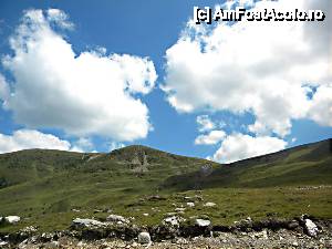 [P05] Transalpina » foto by andr2eea
 - 
<span class="allrVoted glyphicon glyphicon-heart hidden" id="av450262"></span>
<a class="m-l-10 hidden" id="sv450262" onclick="voting_Foto_DelVot(,450262,7149)" role="button">șterge vot <span class="glyphicon glyphicon-remove"></span></a>
<a id="v9450262" class=" c-red"  onclick="voting_Foto_SetVot(450262)" role="button"><span class="glyphicon glyphicon-heart-empty"></span> <b>LIKE</b> = Votează poza</a> <img class="hidden"  id="f450262W9" src="/imagini/loader.gif" border="0" /><span class="AjErrMes hidden" id="e450262ErM"></span>