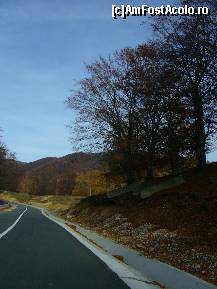 [P13] Transalpina - Drumul Regelui, dinspre Novaci spre Ranca » foto by magdalena
 - 
<span class="allrVoted glyphicon glyphicon-heart hidden" id="av169208"></span>
<a class="m-l-10 hidden" id="sv169208" onclick="voting_Foto_DelVot(,169208,7149)" role="button">șterge vot <span class="glyphicon glyphicon-remove"></span></a>
<a id="v9169208" class=" c-red"  onclick="voting_Foto_SetVot(169208)" role="button"><span class="glyphicon glyphicon-heart-empty"></span> <b>LIKE</b> = Votează poza</a> <img class="hidden"  id="f169208W9" src="/imagini/loader.gif" border="0" /><span class="AjErrMes hidden" id="e169208ErM"></span>