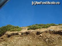 [P15] superb » foto by vio_andu_gaby
 - 
<span class="allrVoted glyphicon glyphicon-heart hidden" id="av233593"></span>
<a class="m-l-10 hidden" id="sv233593" onclick="voting_Foto_DelVot(,233593,7149)" role="button">șterge vot <span class="glyphicon glyphicon-remove"></span></a>
<a id="v9233593" class=" c-red"  onclick="voting_Foto_SetVot(233593)" role="button"><span class="glyphicon glyphicon-heart-empty"></span> <b>LIKE</b> = Votează poza</a> <img class="hidden"  id="f233593W9" src="/imagini/loader.gif" border="0" /><span class="AjErrMes hidden" id="e233593ErM"></span>