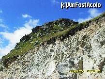 [P25]  -- <small>// FĂRĂ DESCRIERE</small> » foto by adryana
 - 
<span class="allrVoted glyphicon glyphicon-heart hidden" id="av250868"></span>
<a class="m-l-10 hidden" id="sv250868" onclick="voting_Foto_DelVot(,250868,7149)" role="button">șterge vot <span class="glyphicon glyphicon-remove"></span></a>
<a id="v9250868" class=" c-red"  onclick="voting_Foto_SetVot(250868)" role="button"><span class="glyphicon glyphicon-heart-empty"></span> <b>LIKE</b> = Votează poza</a> <img class="hidden"  id="f250868W9" src="/imagini/loader.gif" border="0" /><span class="AjErrMes hidden" id="e250868ErM"></span>